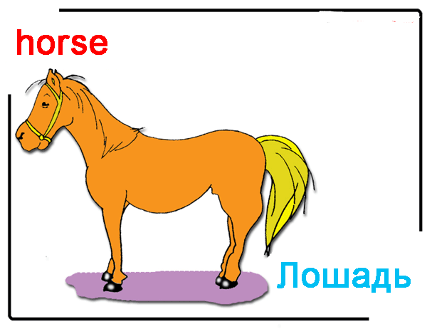 Лошадь по английскому. Карточки для детей лошадка. Карточки с английскими словами для детей лошадь. Как по английски лошоть.