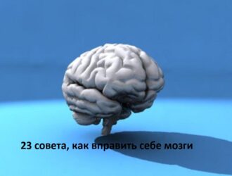 23 совета, как вправить себе мозги