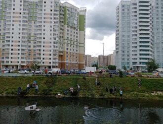 Сегодня в Ольгино, а точнее в микрорайоне Центр-2 неравнодушные жители провели флешмоб-конкурс «Пруд Коровка Живи!» Этот небольшой пруд существует в микрорайоне предположительно с начала XX века.