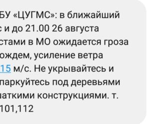 ФГБУ «ЦУГМС»: в ближайший час и до 21.00 26 августа местами в МО ожидается гроза с дождем, усиление ветра 12-15 м/с.