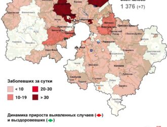 347 случаев заболевания коронавирусом