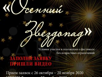 Для творческих коллективов и сольных исполнителей.