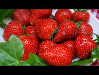 Зачем фрукты меняют свой вкус и цвет во время созревания?